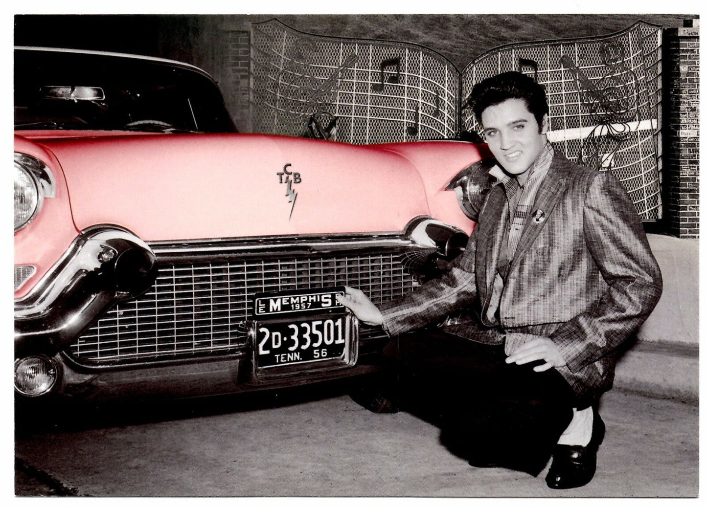 Elvis Presley B/W Pink Car Magnet